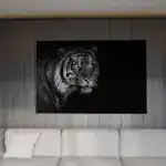 Tigerns Blick