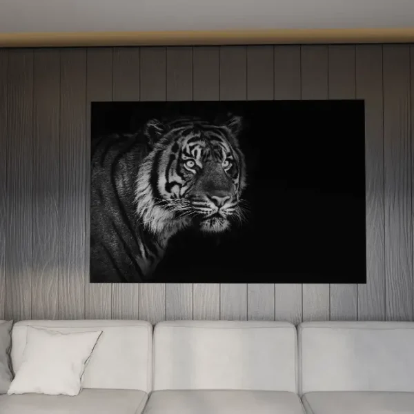 Tigerns Blick