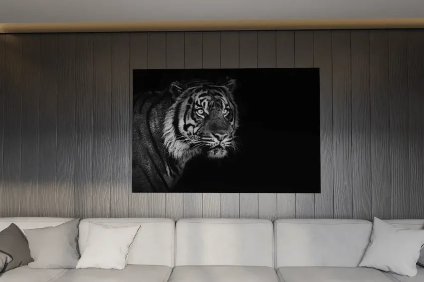 Tigerns Blick