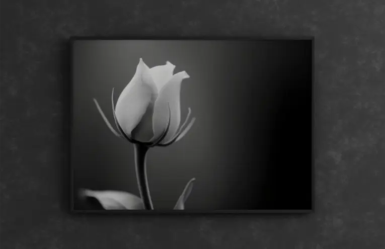 Vit-Ros-i-Stillhet-mockup-1