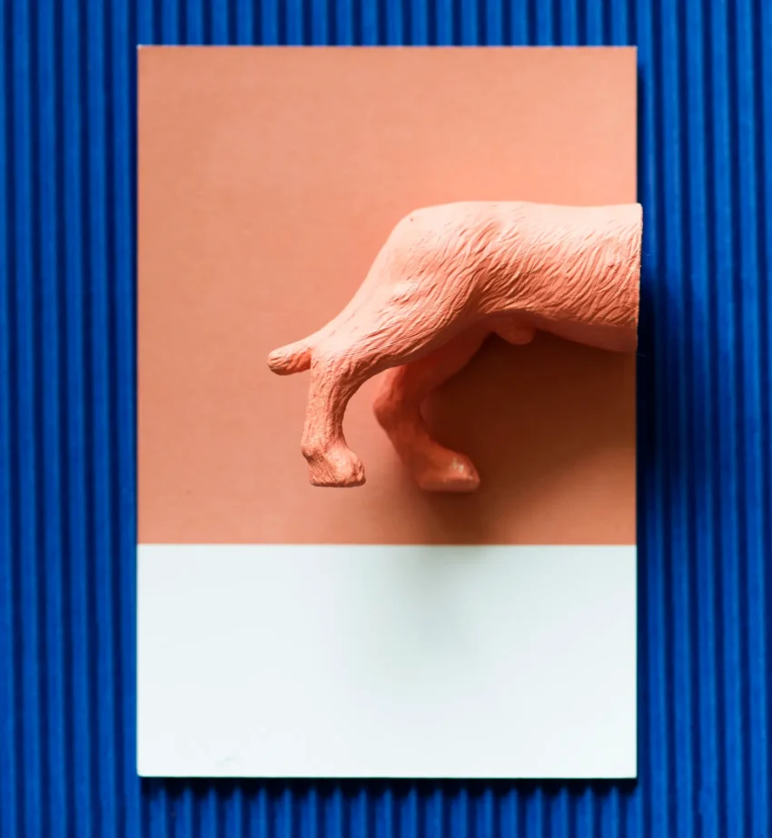 Surrealistisk Hundfragment