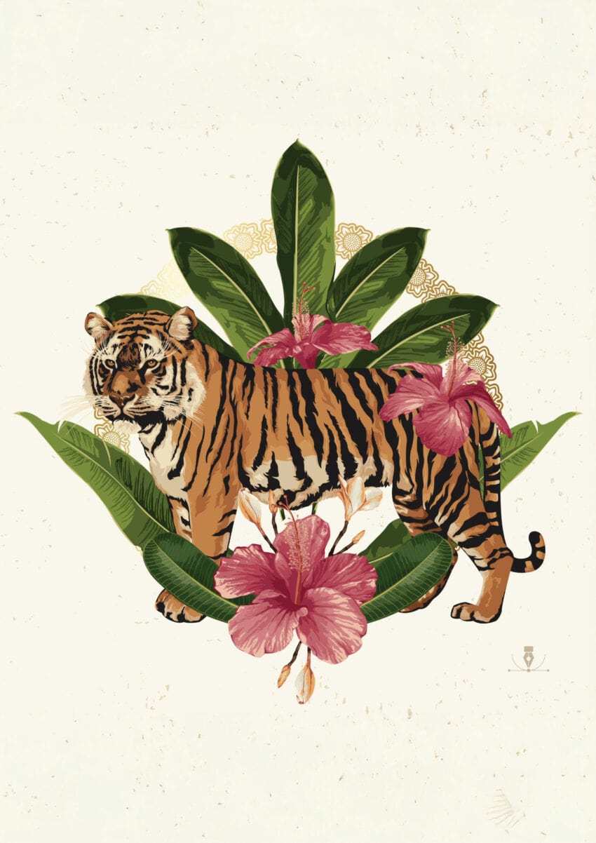 Tropisk Tiger