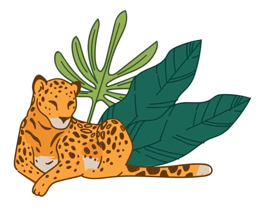 Vilda Leoparddrömmar
